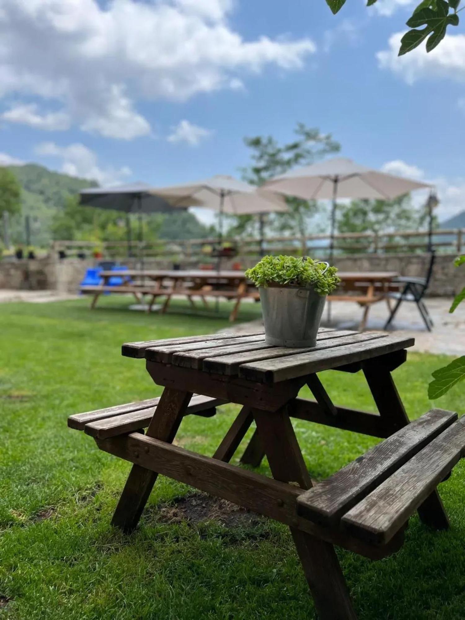 Spacious House In Ogassa With Terrace And Bbq エクステリア 写真